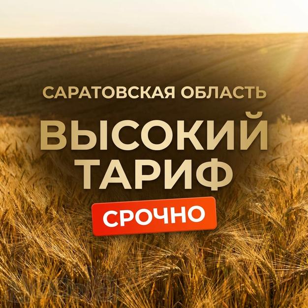 120 руб/куб с НДС - набор самосвалов 8×4 открыт